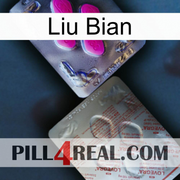 Liu Bian 38.jpg